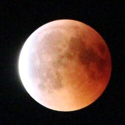Mond