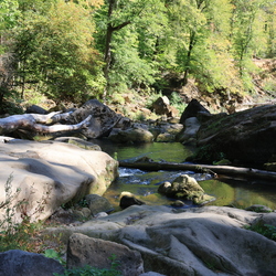 Natur